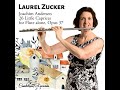 26 little caprices op. 37 no. 12 andantino