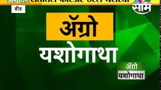 मराठवाड्यातील रणजीत पवार यांच्या मोसंबी शेतीची यशोगाथा