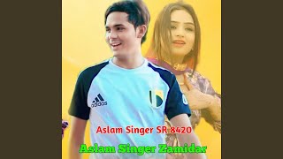 Aslam Singer SR 8420