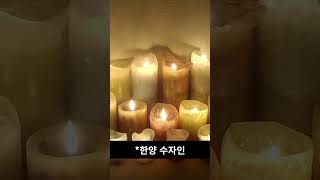 양산 34평 아파트 전세 가격 비교