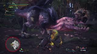 【MHW】アンジャナフ片手剣ソロ5:48【β版】