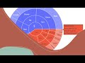 Plotly Sunburst Plot | Plotly Advanced Plot | KGP Talkie Plotly Plots
