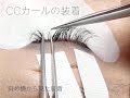 【動画解説】「強いカールの装着」解説動画｜アイリストのためのサイトbeauté（ボーテ）