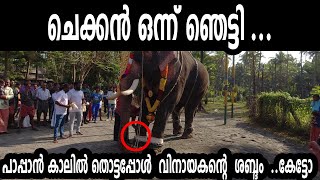 Meenad Vinayakan II പാപ്പാൻ കാലിൽ തൊട്ടപ്പോൾ  വിനായകന്റെ  ശബ്ദം  ..കേട്ടോ