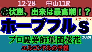 エルコンドル氏のホープフルステークス2024予想！！クロワデュノールは確かに強いかもしれない！？しかし初めての右回り！力差も不透明！何が起きるかわからないのが競馬！