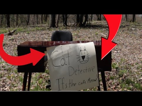Cat Detective : 10 Tips on Finding a Missing CAT Cat Detective : 10 Tips on Finding a Missing CAT