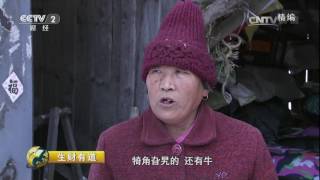 20170308 生财有道  冰雪经济系列——白山白雪生白银 精编版