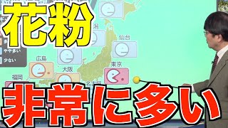 高気圧に覆われて晴れ 東京など花粉が非常に多く飛ぶ予想