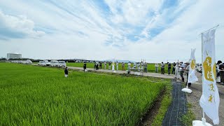 【いちほまれ産地情報】いちほまれの栽培研修会が開催されました