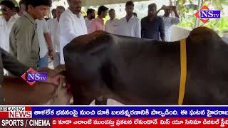 బడుగువానిలంక గ్రామంలో గోకులం షెడ్డులు ప్రారంభించిన ఎమ్మెల్యే సత్యానందరావు,జనసేన ఇంచార్జ్ శ్రీనివాస్…