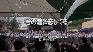 君の瞳に恋してる　伊川谷北高校 2017/10/7