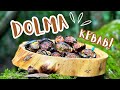 The Quest for the Perfect Wilderness Dolma Kebab!!