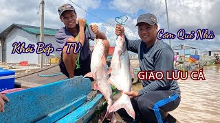 Encountering a Pair of 15KG Pangasius Fish, Fish Exchange with Kitchen Smoke -TV , Ut Hieu Mien Tay