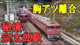 秘境・宗太郎駅でキハ185系の臨時列車がEF81牽引のコンテナ貨物列車と離合の胸アツ