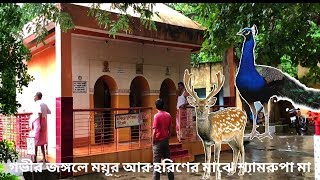 Incredible Shyamrupa Mandir|Mondir|Bolpur|Birbhum|