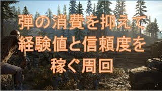 【DAYS GONE】燃費よく経験値・信頼度・耳稼ぎ周回　レベル上げにも