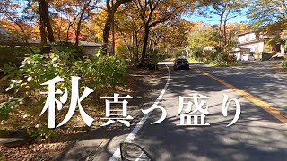 【バイクツーリング】秋真っ盛り！那須高原のメインストリートをいく