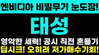 [태성 주가전망] 엔비디아 비밀무기 눈도장! 영악한 세력! 공시 직전 흔들기! 딥시크! 오히려 저가매수 기회반증! 주주님들 절대 흔들리시면 안됩니다!