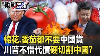 全面焦土戰爭！連棉花、番茄都不要中國貨 川普不惜代價「硬切割」中國！？ 【@ebcCTime 】20200909-4劉寶傑 黃世聰 李正皓 吳子嘉 王瑞德 林廷輝