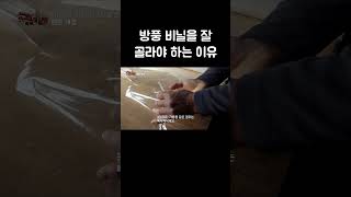 겨울에 사계절용 방풍 비닐 써야 하는 이유 #shorts