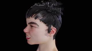 Bjork 1993 version 3D model