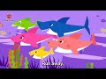 Baby Shark  repeat 30 mins loop