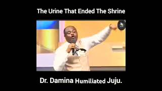 My urine ended the shrine - Dr. Abel Damina