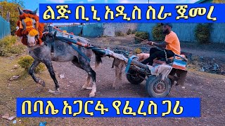 ልጅ ቢኒ በባሌ አጋርፋ አዲስ ስራ ጀመረ የፈረስ ጋሪ