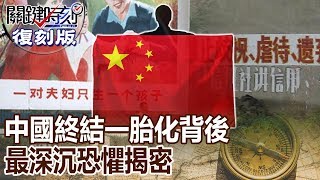 【關鍵復刻版】中國終結一胎化背後最深沉恐懼揭密20151030 全集 關鍵時刻｜劉寶傑