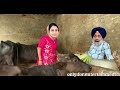 ਸਿੰਮੋ ਨੇ ਕਰਲੀਆ ਦੋ ਗੁੱਤਾ ਪੰਜਾਬੀ ਕਮੇਡੀ। punjabi comedy