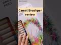 Satisfying Brushpen review 🖌️💫#shorts #review #satisfying #camel #brushpen #calligraphy #viralshorts