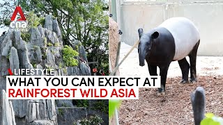 Rainforest Wild Asia: Cave restaurant, activities and animals at Singapore’s new wildlife park