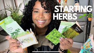 Starting my 2025 Herb Garden 🪴 #gardening #herbgarden #sowingseeds #herbs