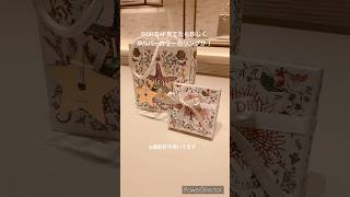 【DIOR】クリスマスシーズン始まった♪限定アクセサリー購入レビュー💎