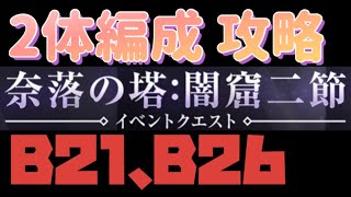 ２体編成【リィンカネ】奈落の塔:闇窟二節　　　　21,26階 NieR Reincarnation