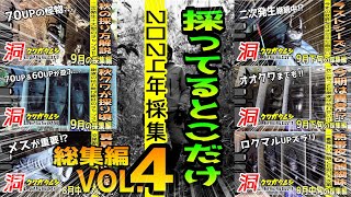 2024年クワガタ採集ベスト動画‼採ってるシーン総集編Vol.4【昆虫採集】