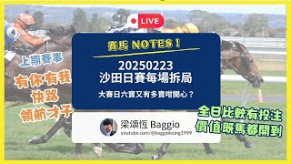 20250223 賽馬 Notes || 沙田日賽各場拆局 || 甚麼是值博 || 六寶有巨額多寶又有嘉應高昇遨遊氣泡係度係咪咁筍？