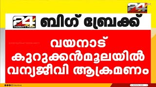 കുറുക്കൻമൂലയിൽ വളർത്തുനായയെ പുള്ളിപ്പുലി ആക്രമിച്ചുകൊന്നു | Wayanad