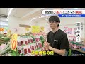 “秋鮭”旬のはずだが…価格高騰中の生鮮食品 お値打ちだったキャベツも値上がり ミニトマトは2倍に！一方でお得な野菜も