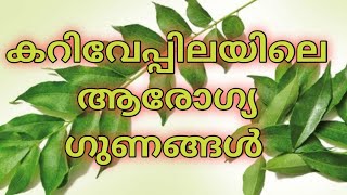 Health Benefits of Curry Leaf. /കറിവേപ്പിലയുടെ ആരോഗ്യ ഗുണങ്ങൾ...