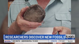 Researchers discover new fossils in Texas