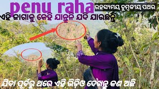 ଏ ଯାଗାକୁ କେହି ଯାନ୍ତୁନି //ଏଠିକି ଯିବାକୁ ଧର୍ର୍ଯ ଦରକାର୍//magnetic stone //ରହସ୍ୟମୟ ଚୁମ୍ବକ