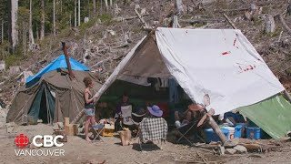 People protesting logging of old-growth forests react to B.C. government's new forestry plan