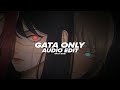 Gata only - slowed [edit audio] (floyymenor, cris mj)