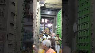 Sri Parthasarathi perumal from gopura vasal for thai amavasya purappadu#triplicane