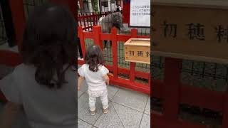 神田神社のお馬さん（あかりちゃん）をご紹介させて頂きます。