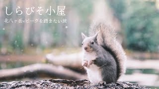 リスのいるしらびそ小屋　北八ヶ岳×ピークを踏まない2ふたり旅