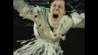 VAST - Free (Music Video)