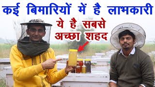 ये सबसे अच्छा शहद इन बीमारियों में है लाभकारी BP, Cough, Skin, Heart, Cold Nutritious Honey ||