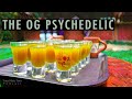 MESCALINE: The World's First Psychedelic w/ Mike Jay | YMT Podcast #30 [Peyote & San Pedro]